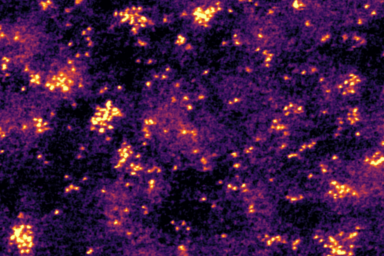 Mapping molecular arrangements to pave the way for better catalytic systems